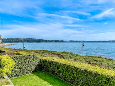 2356 Bellevue Avenue - 5