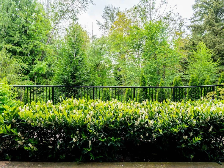 B004-20087 68 Avenue, Langley, BC, V2Y 0Y3 - 25