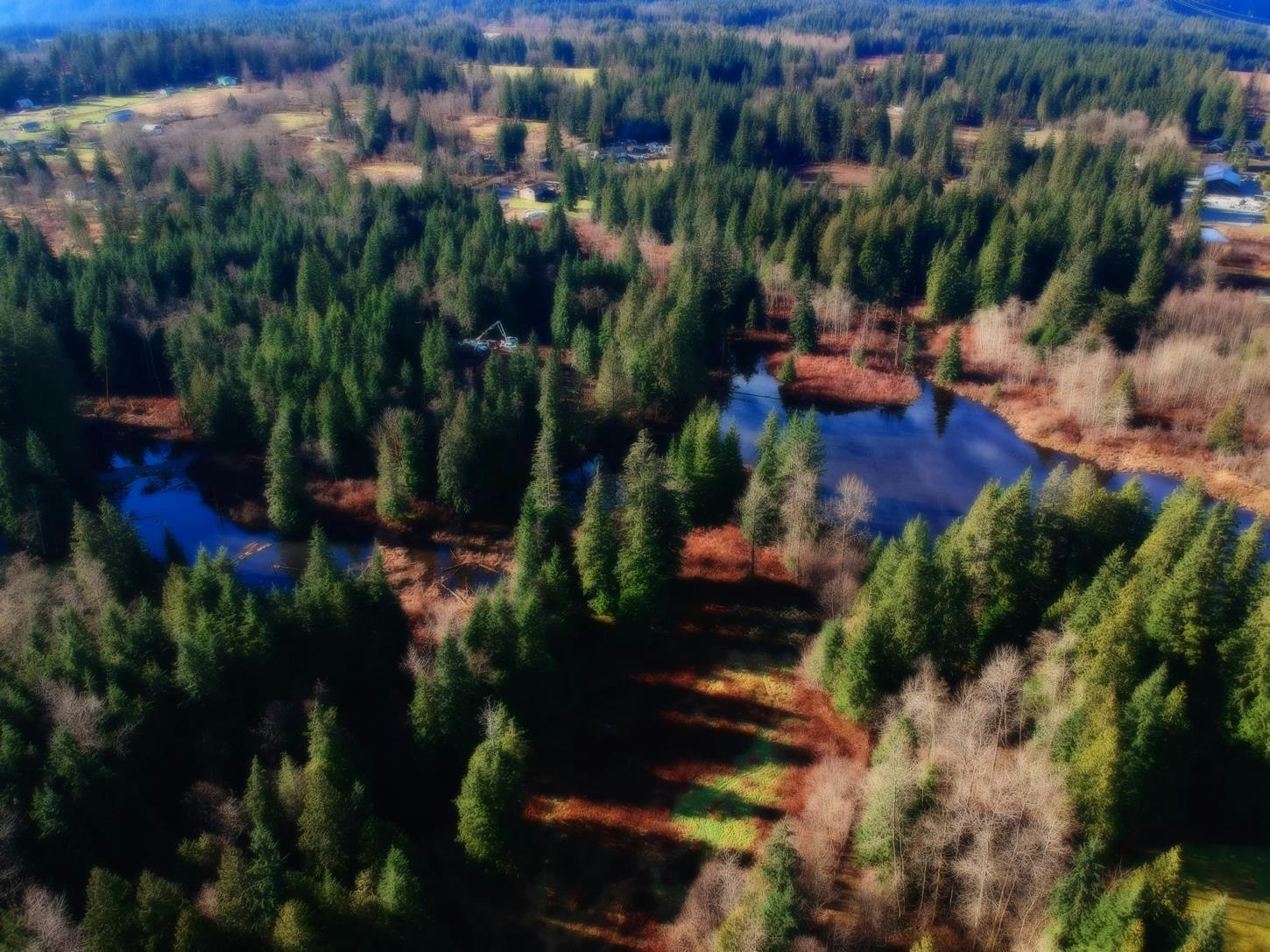 14157 Sylvester Road, Mission, BC, V2V 0B1 - 6