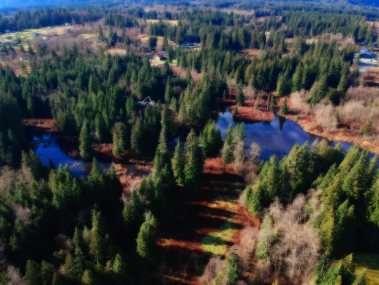 14157 Sylvester Road, Mission, BC, V2V 0B1 - 6