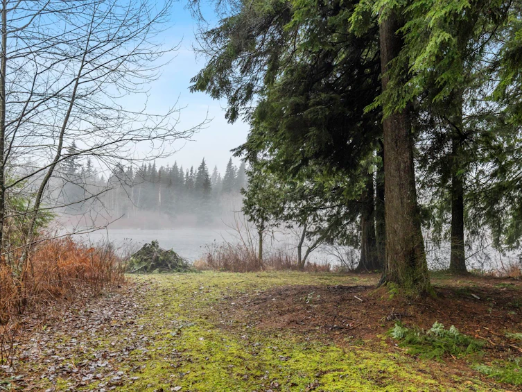 14157 Sylvester Road, Mission, BC, V2V 0B1 - 26