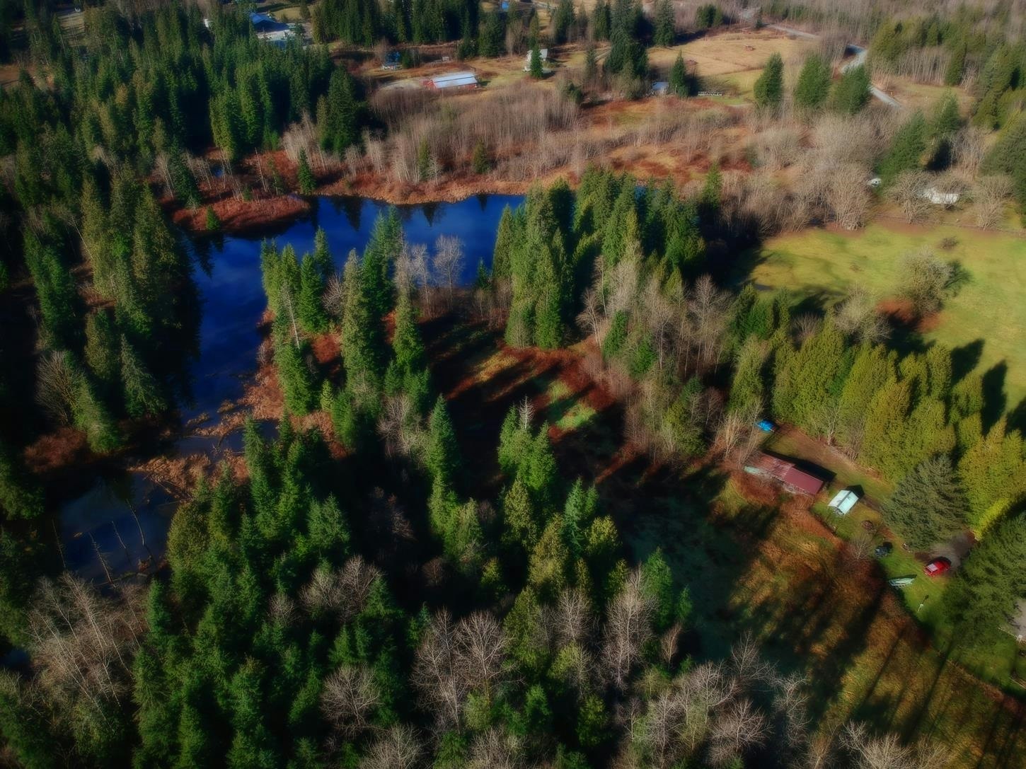 14157 Sylvester Road, Mission, BC, V2V 0B1 - 4