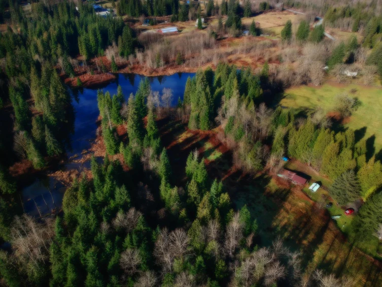 14157 Sylvester Road, Mission, BC, V2V 0B1 - 4