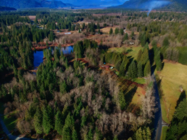 14157 Sylvester Road, Mission, BC, V2V 0B1 - 39