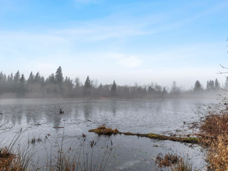 14157 Sylvester Road, Mission, BC, V2V 0B1 - 29