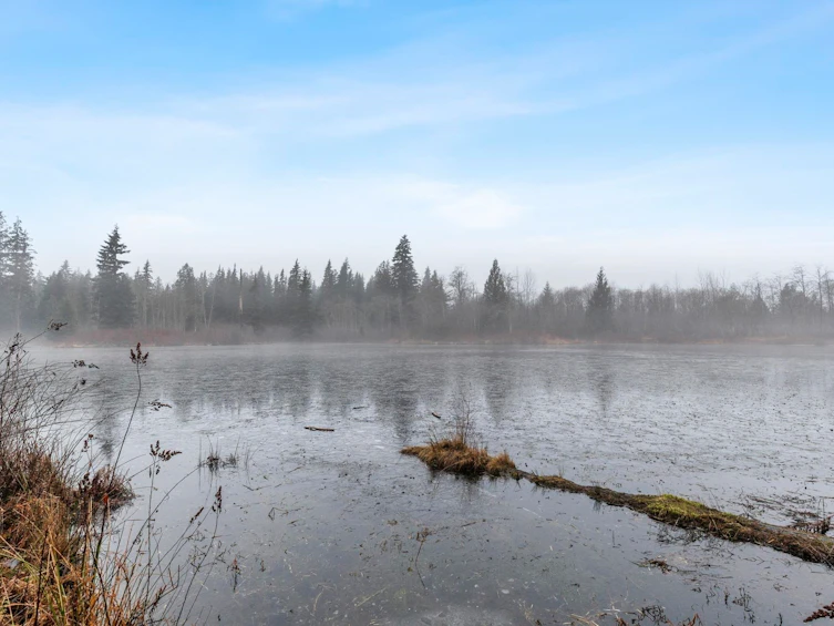 14157 Sylvester Road, Mission, BC, V2V 0B1 - 28