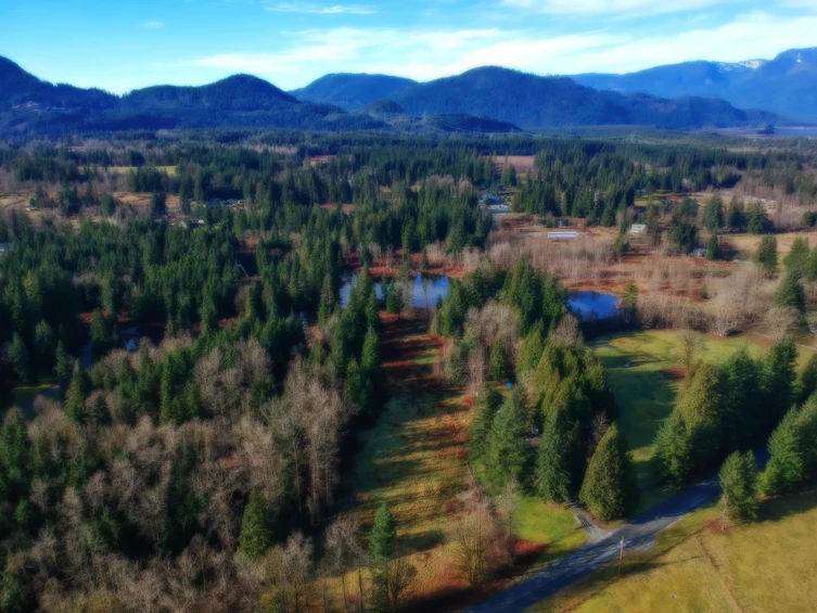 14157 Sylvester Road, Mission, BC, V2V 0B1 - 36