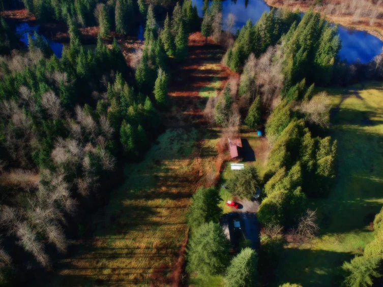 14157 Sylvester Road, Mission, BC, V2V 0B1 - 2