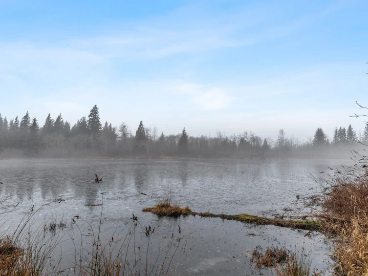 14157 Sylvester Road, Mission, BC, V2V 0B1 - 30