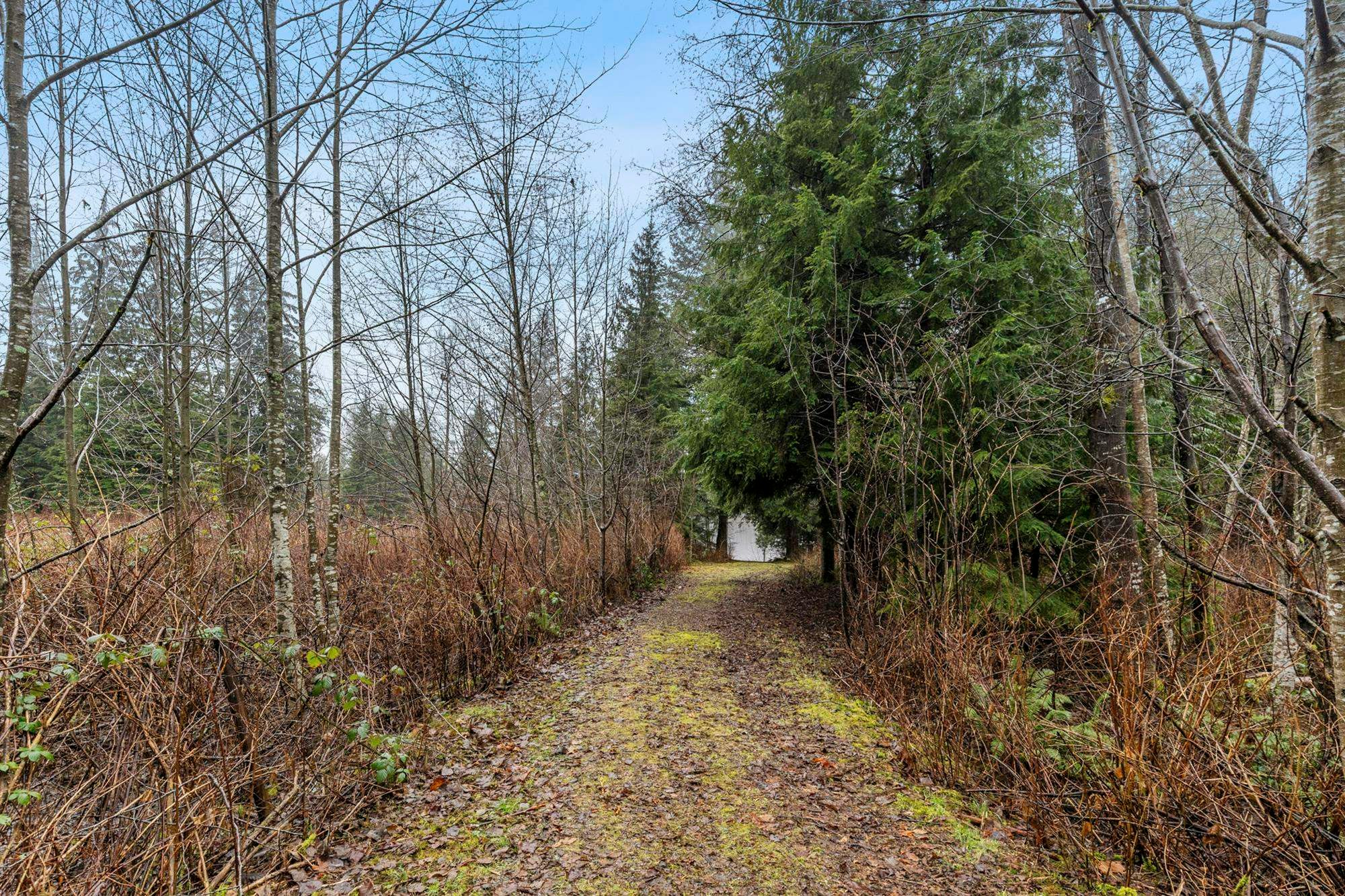 14157 Sylvester Road, Mission, BC, V2V 0B1 - 24