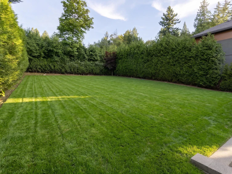 16738 Mcnair Drive, Surrey, BC, V3Z 0P9 - 36