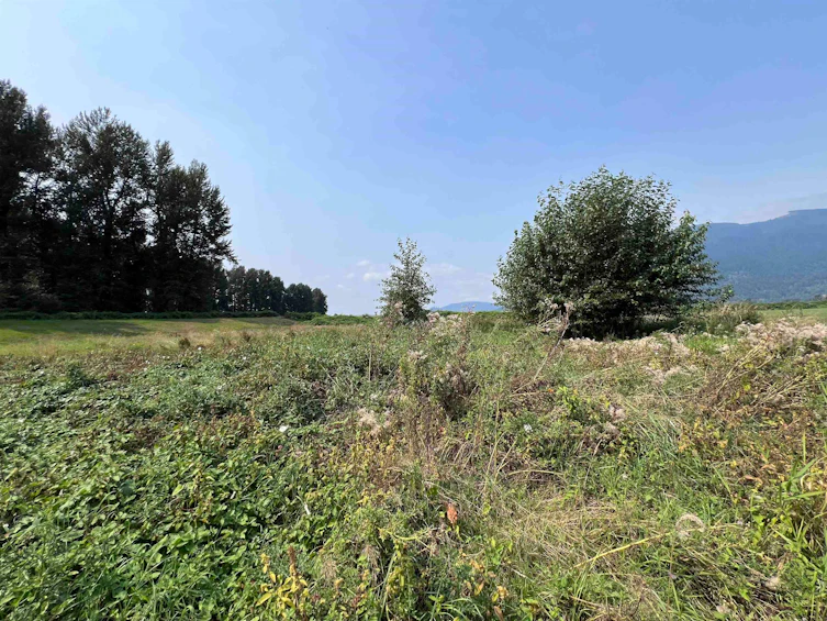 8309 Thompson Road, Mission, BC, V0M 1G0 - 11