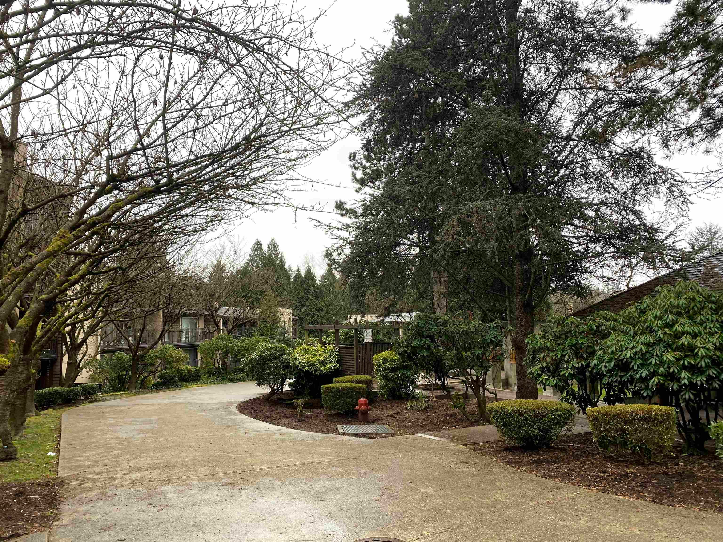 515-9867 Manchester Drive, Burnaby, BC, V3N 4P6 - 16