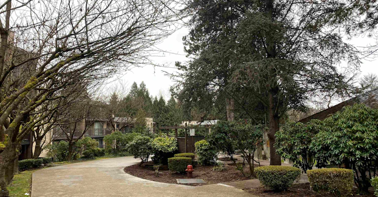 515-9867 Manchester Drive, Burnaby, BC, V3N 4P6 - 16