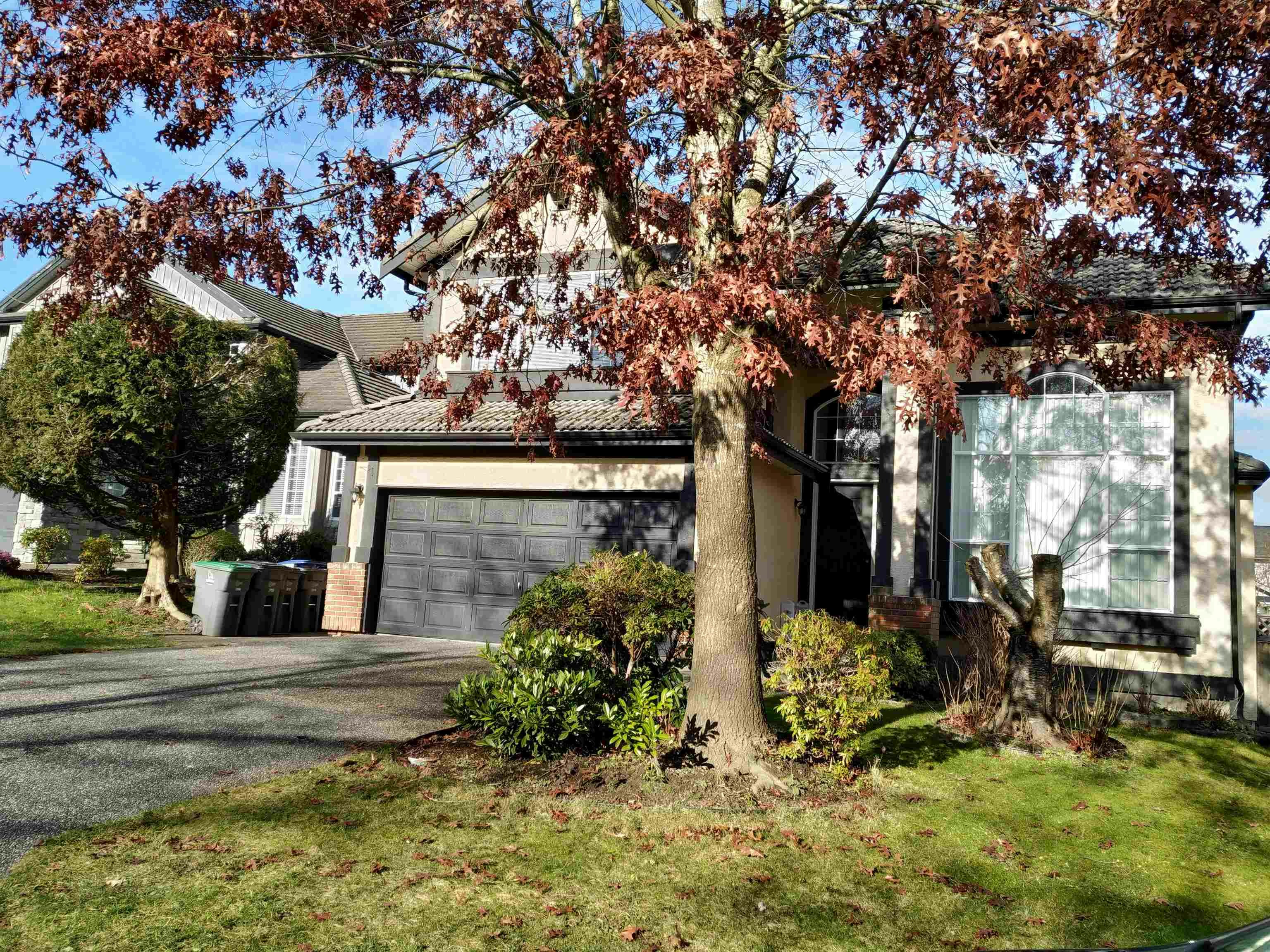Basement-16909 83a Avenue, Surrey, BC, V4N 4T9
