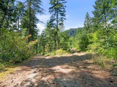 65356 Wotten Road - 3
