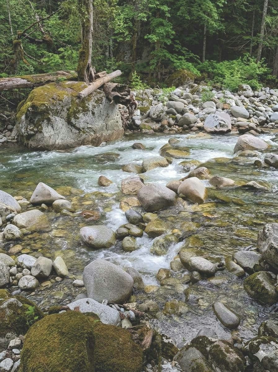 65356 Wotten Road, Hope, BC, V0X 1L3 - 38