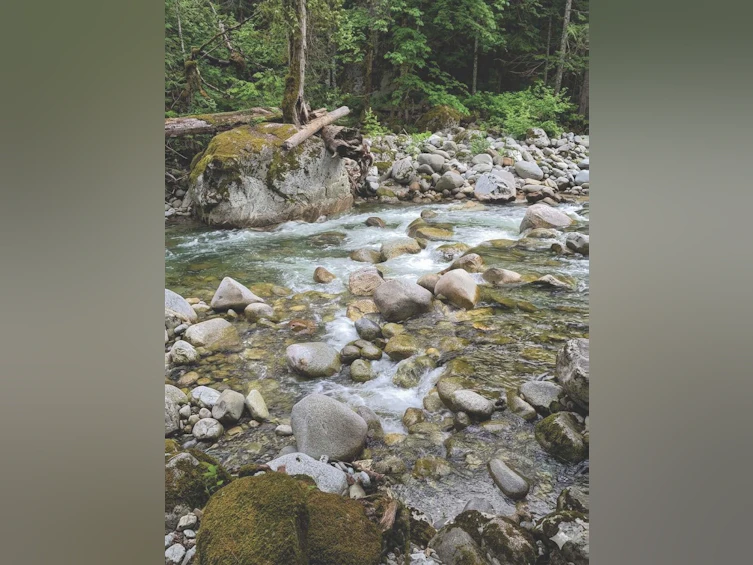65356 Wotten Road, Hope, BC, V0X 1L3 - 38
