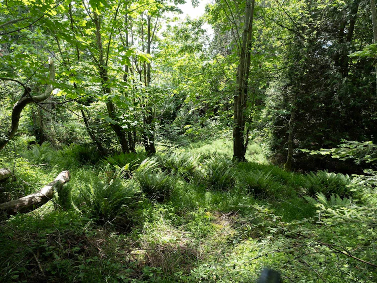 8127 Redrooffs Road, Halfmoon Bay, BC, V7Z 1A7 - 13