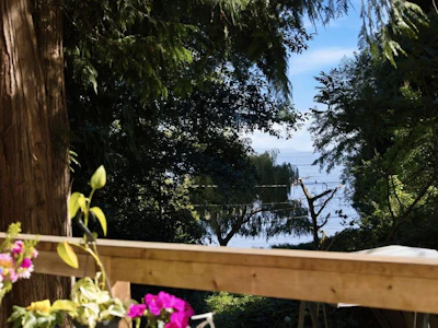 3131 Beach Avenue - 4