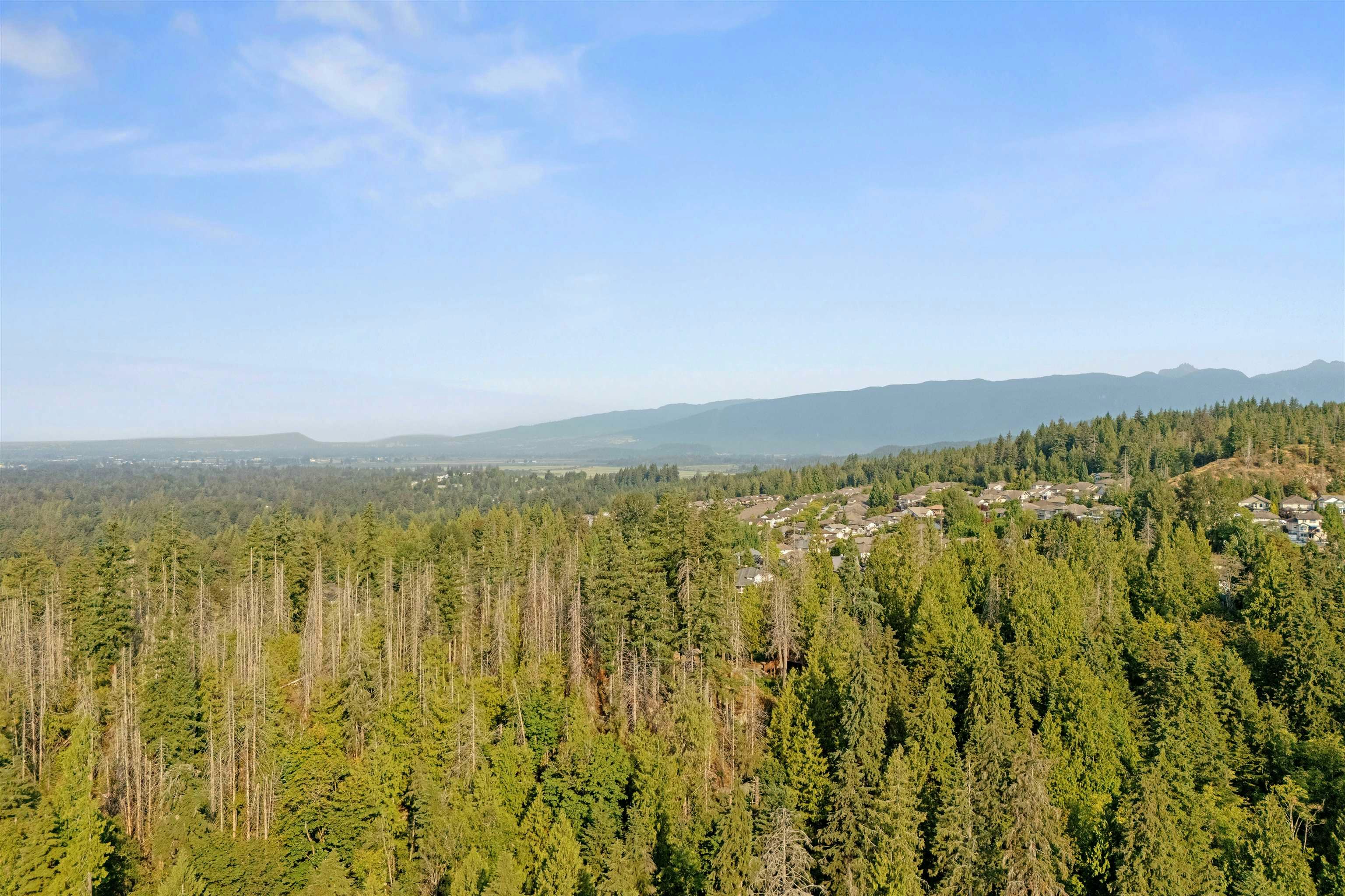 13175 239b Street, Maple Ridge, BC, V4R 0A3 - 39