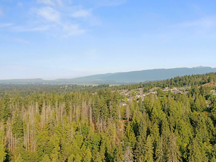 13175 239b Street, Maple Ridge, BC, V4R 0A3 - 39