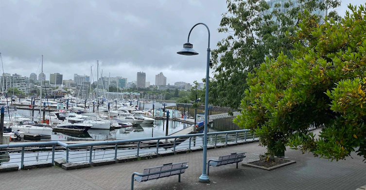 1505-193 Aquarius Mews, Vancouver, BC, V6Z 2Z2 - 11