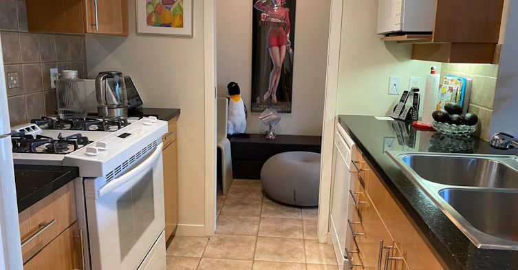 1505-193 Aquarius Mews, Vancouver, BC, V6Z 2Z2 - 19