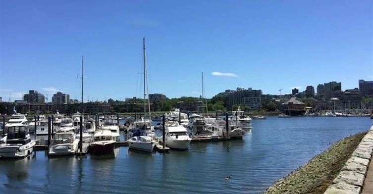 1505-193 Aquarius Mews, Vancouver, BC, V6Z 2Z2 - 21