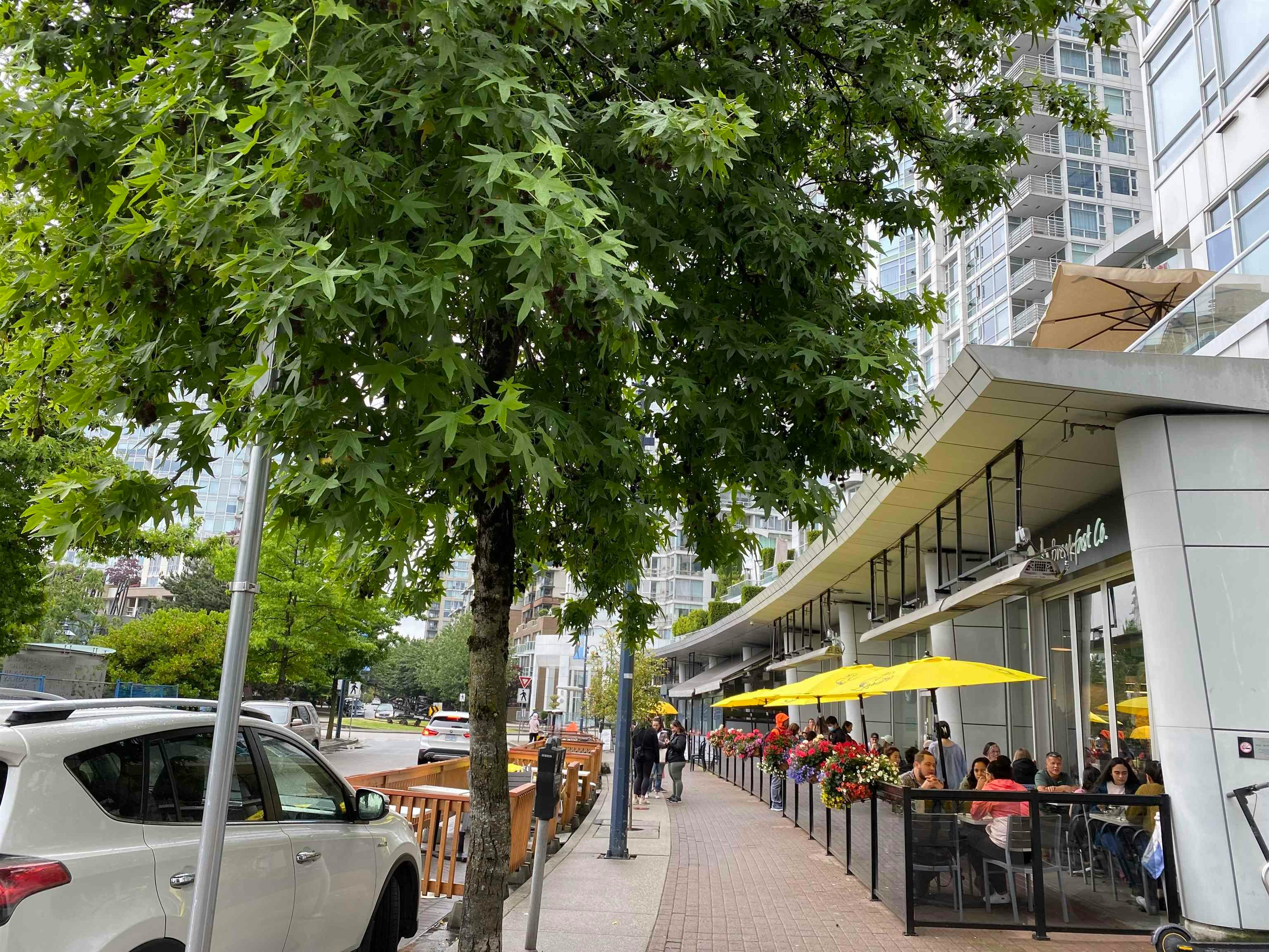 1505-193 Aquarius Mews, Vancouver, BC, V6Z 2Z2 - 9