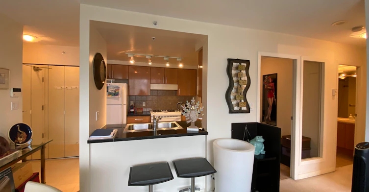 1505-193 Aquarius Mews, Vancouver, BC, V6Z 2Z2 - 17