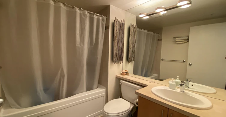 1505-193 Aquarius Mews, Vancouver, BC, V6Z 2Z2 - 18