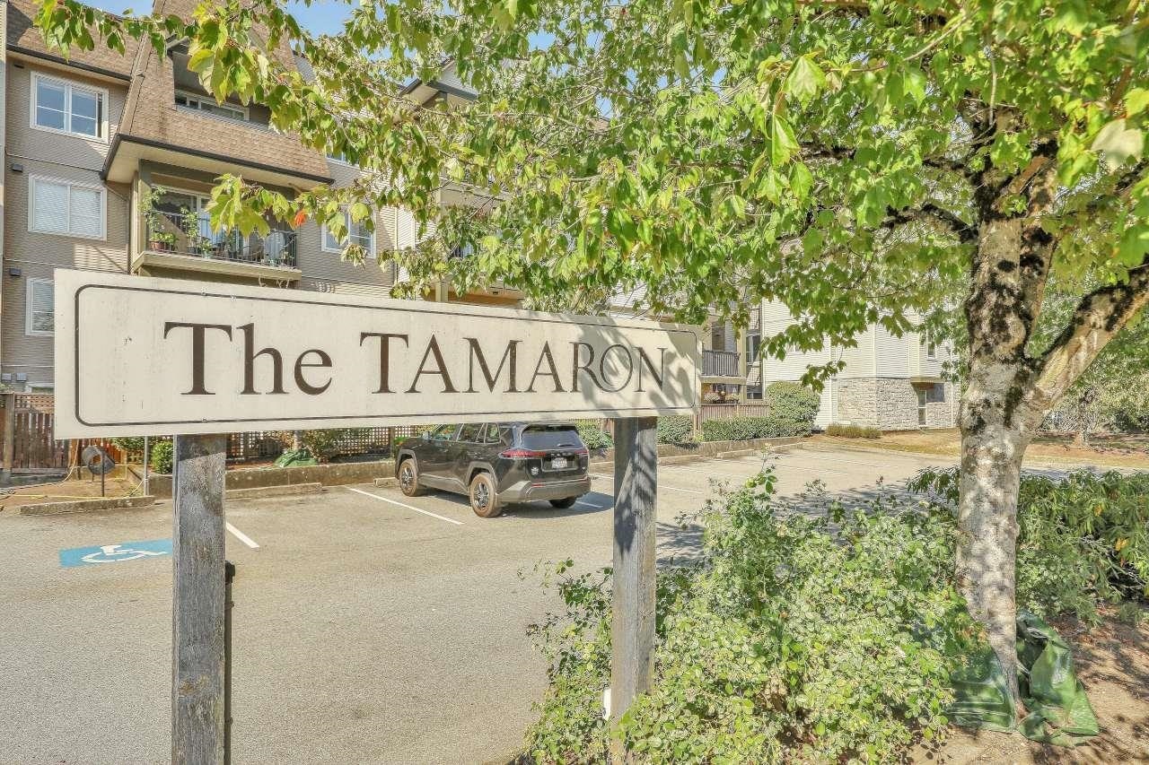 419-12083 92a Avenue, Surrey, BC, V3V 8C8