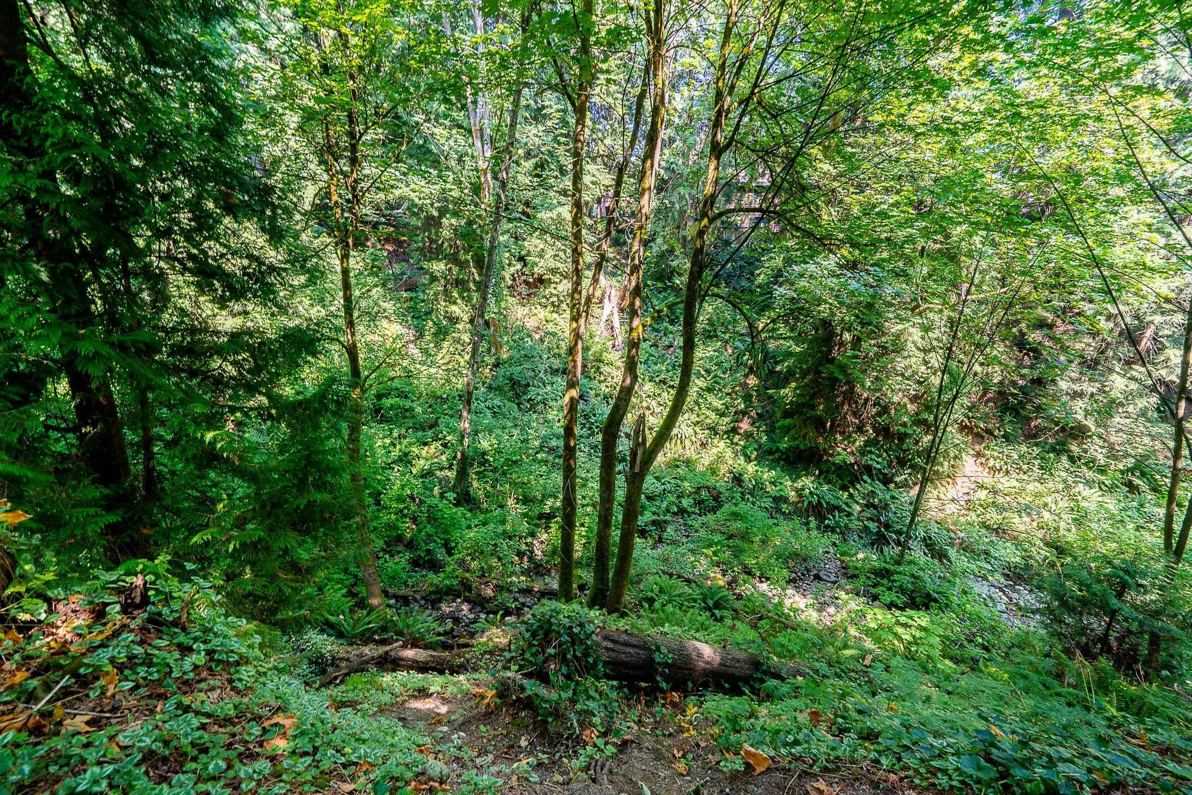 241B Evergreen Drive, Port Moody, BC, V3H 1S1 - 26