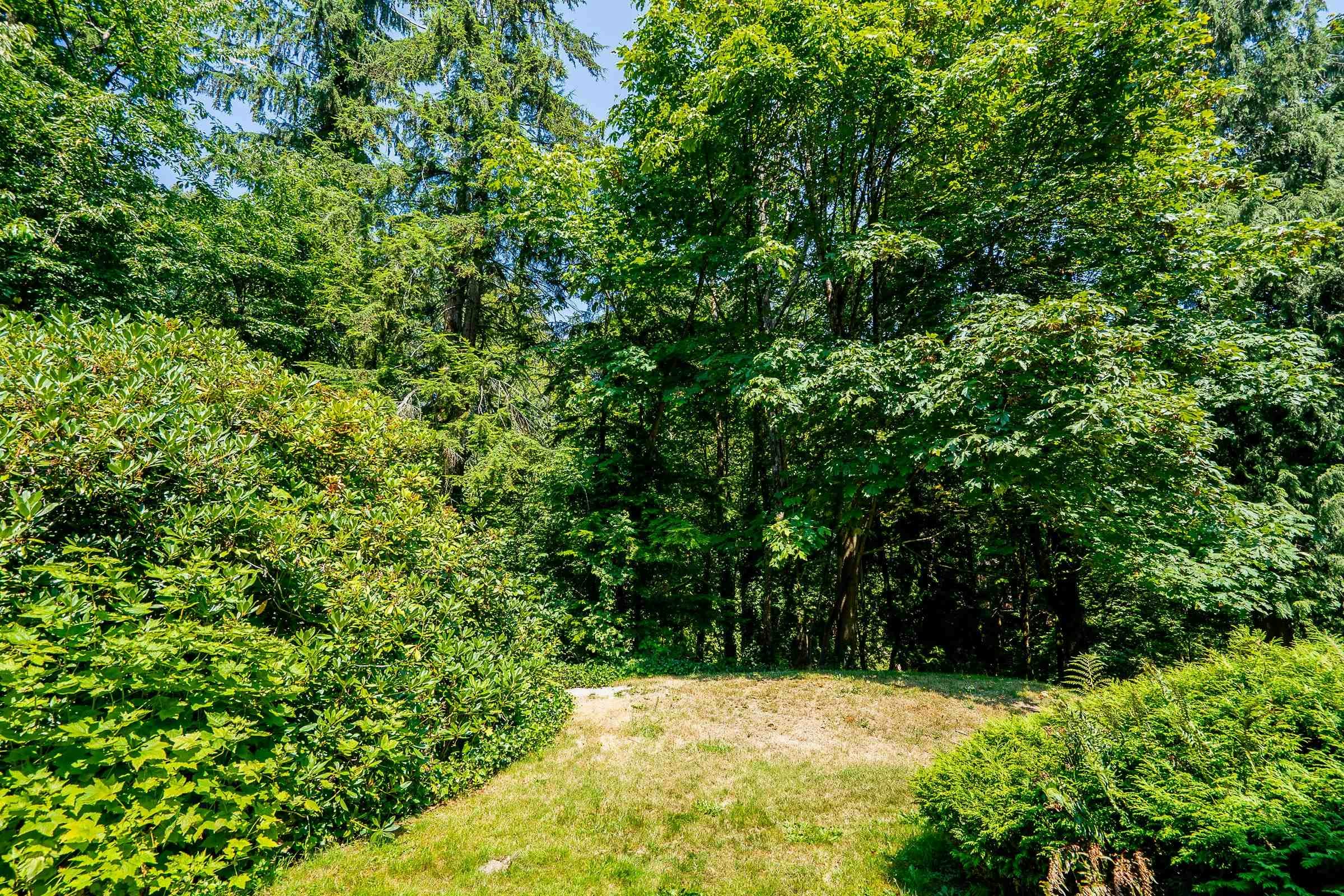241B Evergreen Drive, Port Moody, BC, V3H 1S1 - 13