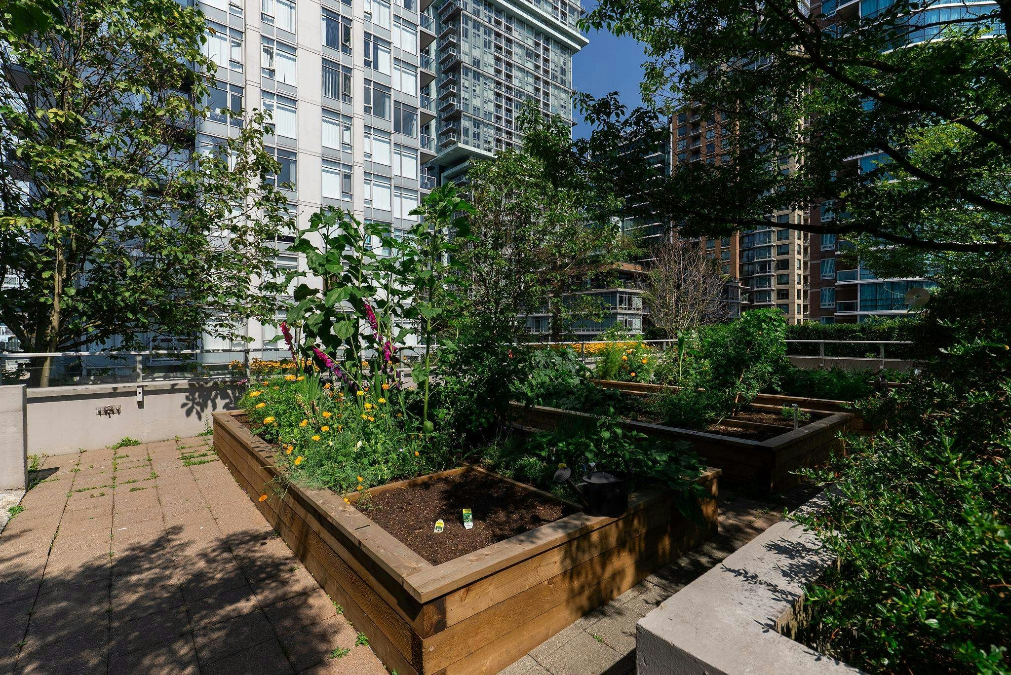 708-833 Homer Street, Vancouver, BC, V6B 0H4 - 36