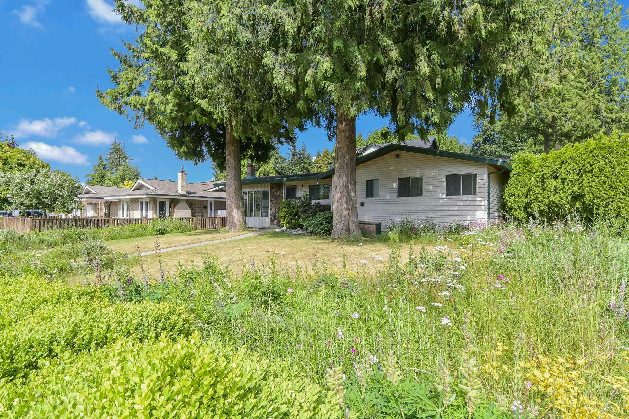 2560 127 Street, Surrey, BC, V4A 5S6 - 3