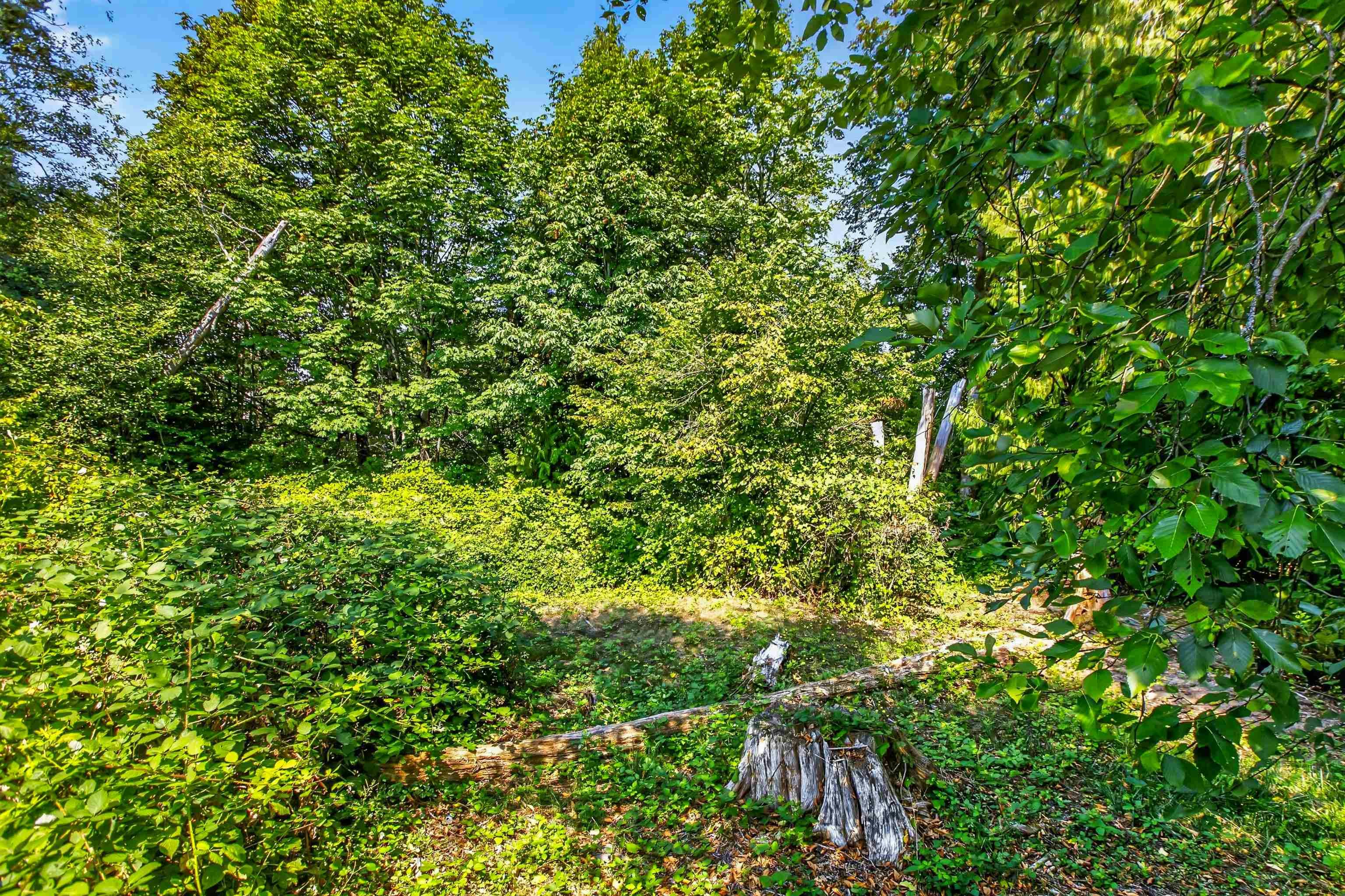 33-22900 126 Avenue, Maple Ridge, BC, V2X 0W9 - 35