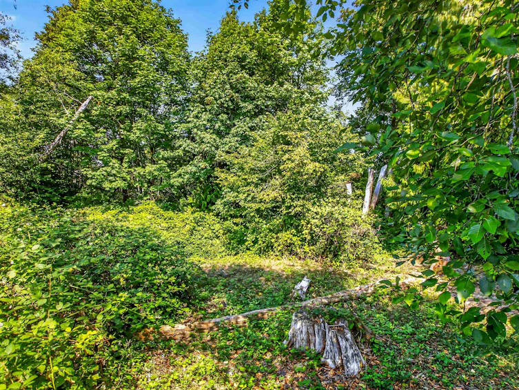 33-22900 126 Avenue, Maple Ridge, BC, V2X 0W9 - 35