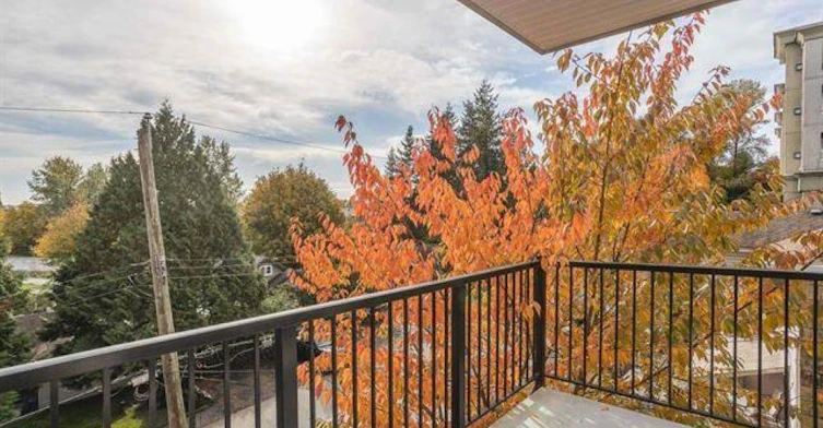 22290 North Avenue, Maple Ridge, BC, V2X 8Z8 - 21
