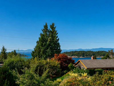 6504 Meier Road - 2