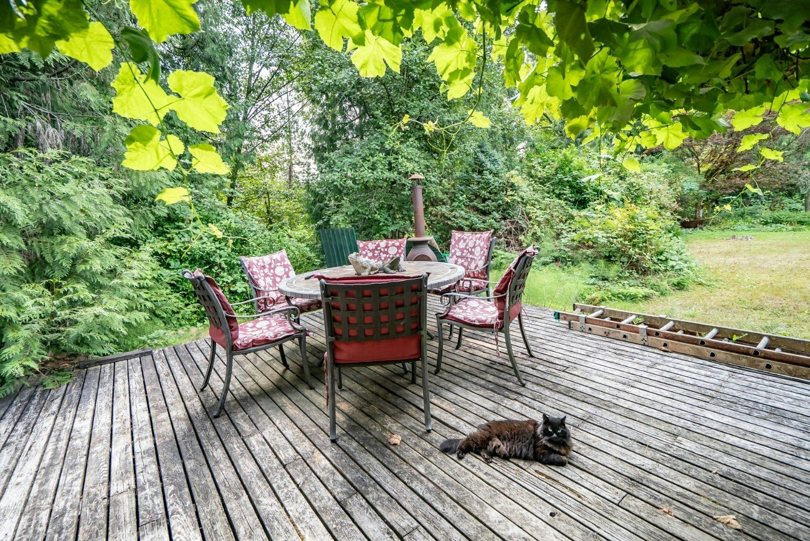 22164 79 Avenue, Langley, BC, V2Y 2S9 - 22