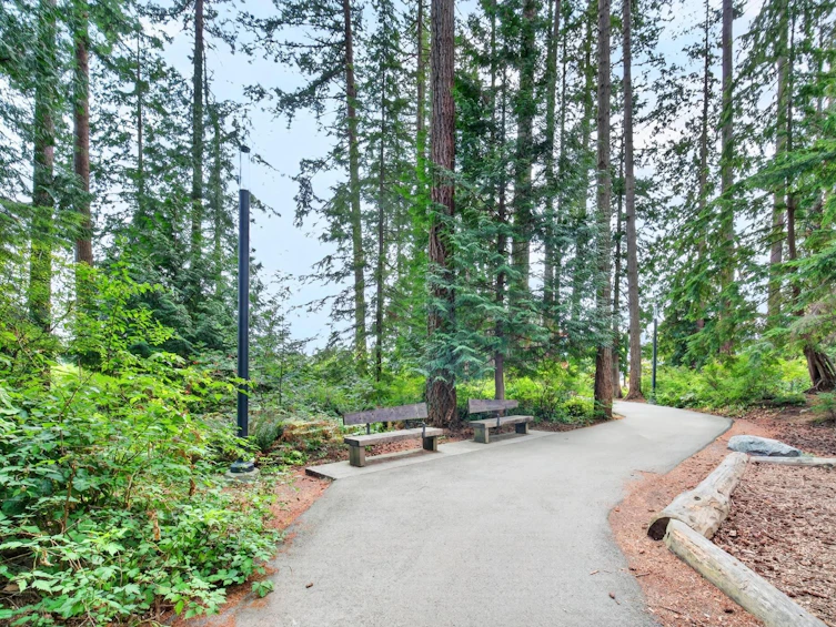 1805-5380 Crooked Branch Road, Vancouver, BC, V6T 0E5 - 32