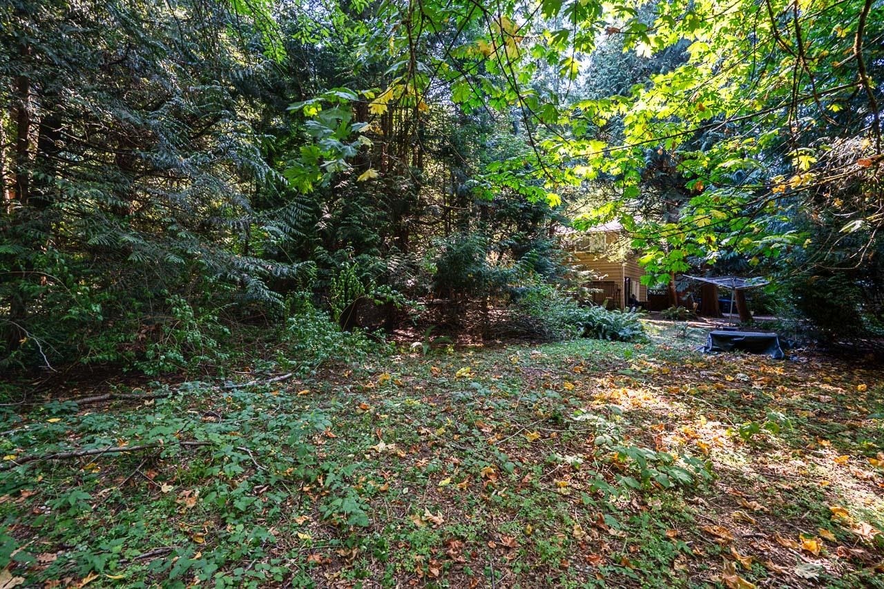 3530 142a Street, Surrey, BC, V4P 1M3 - 15