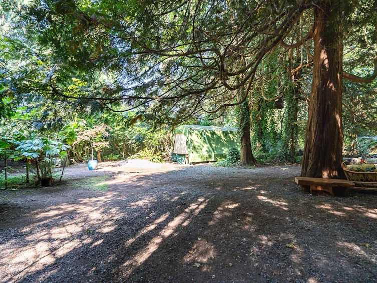 3530 142a Street, Surrey, BC, V4P 1M3 - 8
