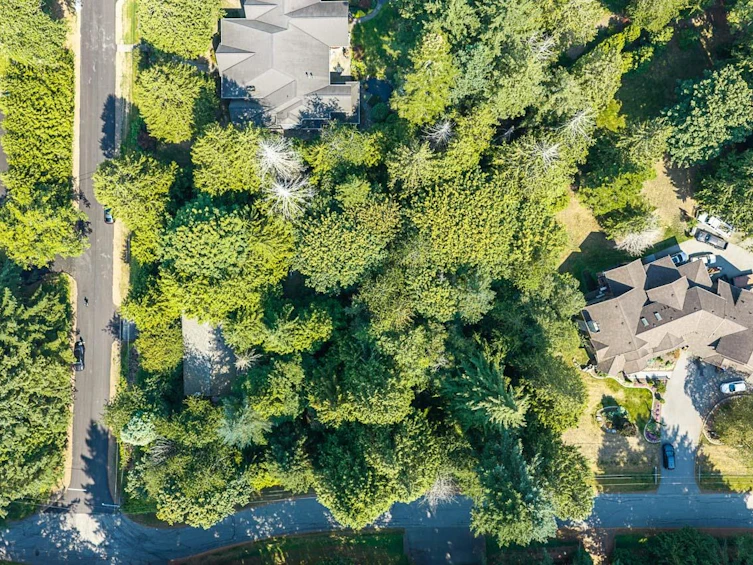 3530 142a Street, Surrey, BC, V4P 1M3