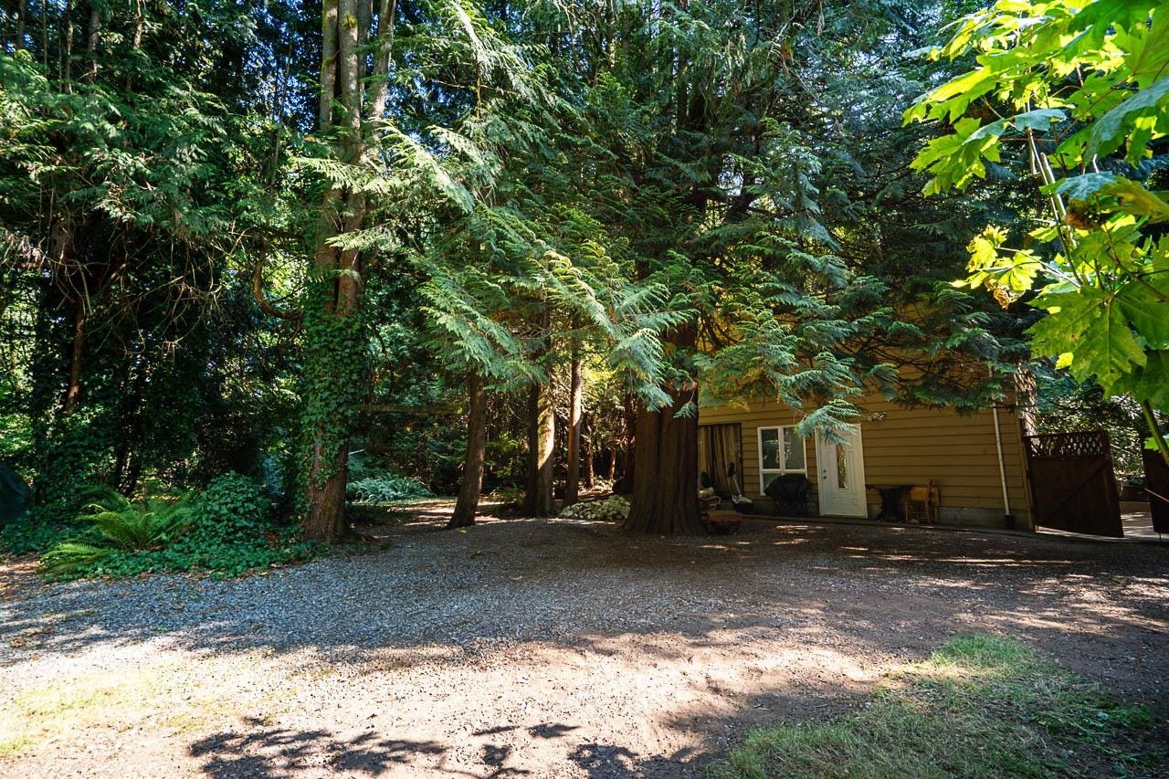 3530 142a Street, Surrey, BC, V4P 1M3 - 10