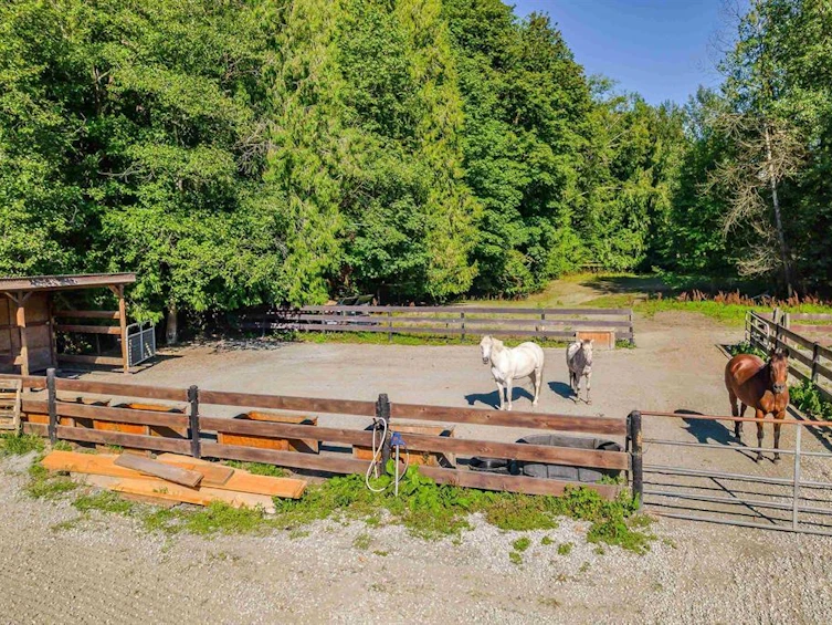 12290 252 Street, Maple Ridge, BC, V4R 1G6 - 22