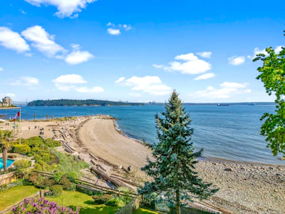 2560 Bellevue Avenue - 4