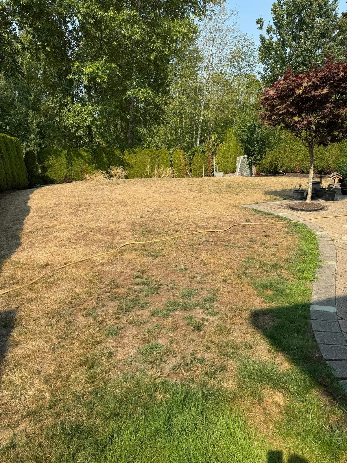 17351 64a Avenue, Surrey, BC, V3S 0P5 - 21